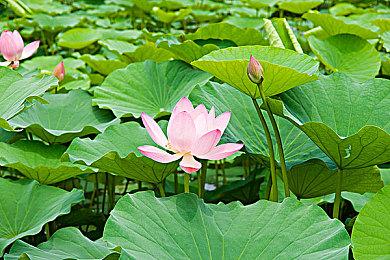 秋促抢跑第一弹！《极限竞速》系列提前享五折！